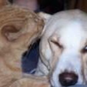 Meet your Posher, Greg